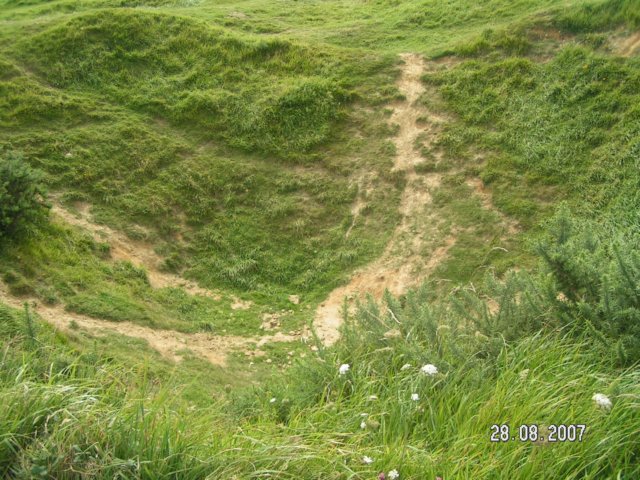 pict2755.jpg