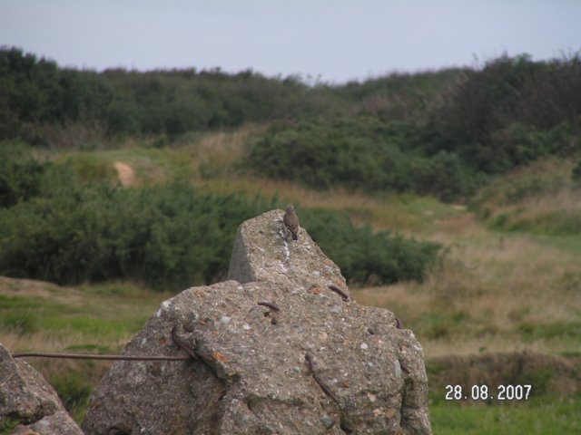 pict2766.jpg