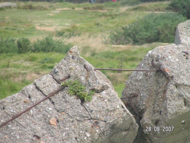 pict2768.jpg