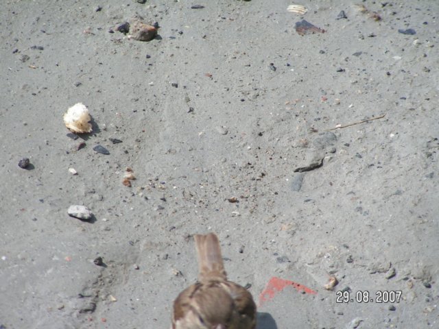 pict2869.jpg