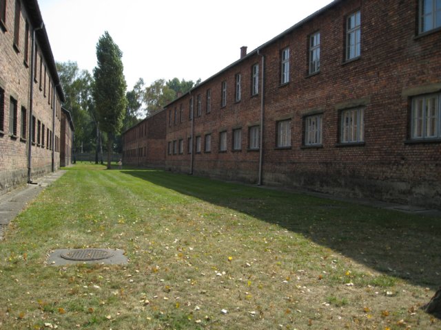 img_0868.jpg