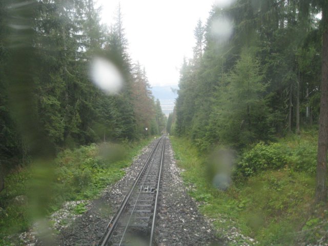 img_0925.jpg