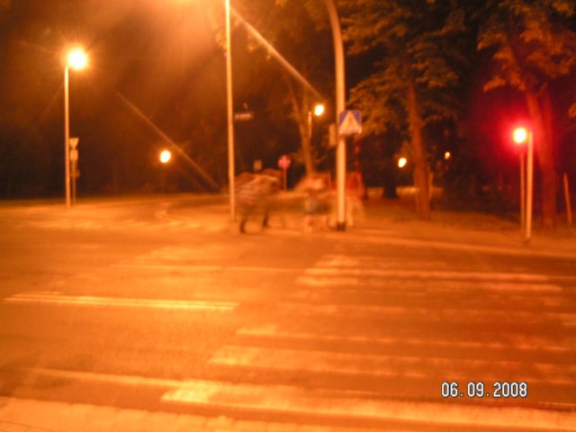pict3956.jpg