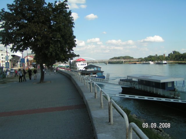 pict4208.jpg