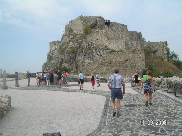 pict4446.jpg