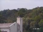 pict4460_small.jpg