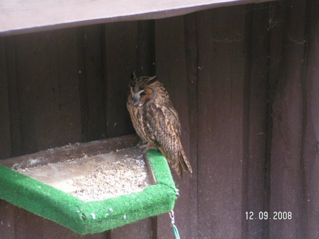 pict4480.jpg