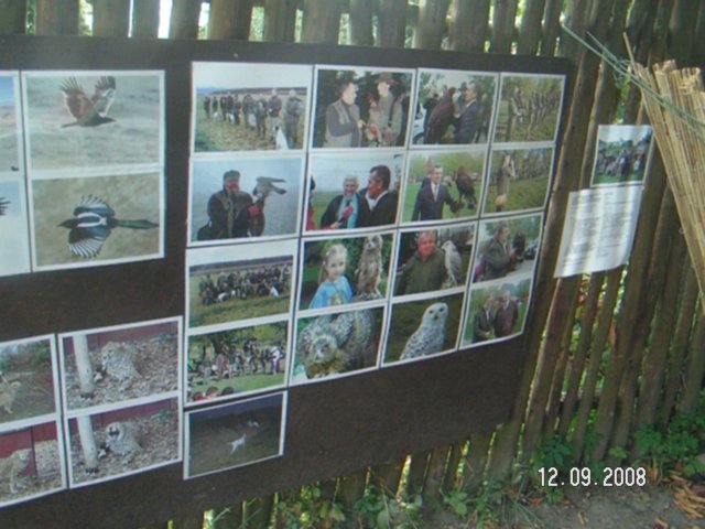 pict4524.jpg
