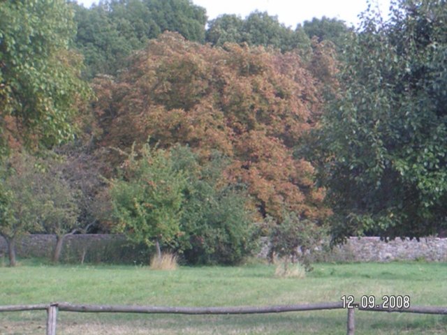 pict4557.jpg
