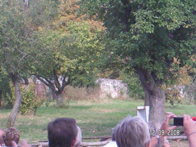 pict4558.jpg