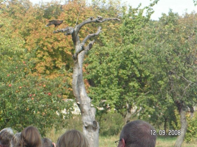 pict4560.jpg