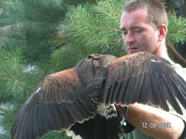 pict4564.jpg