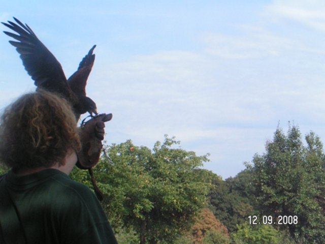 pict4575.jpg