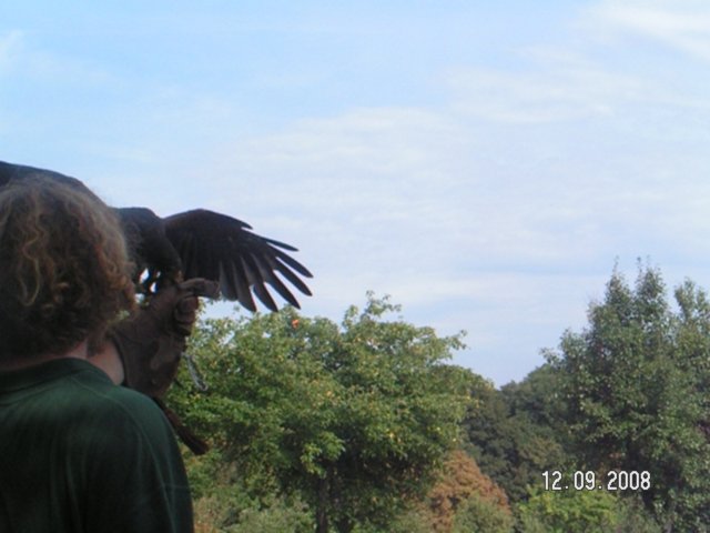 pict4577.jpg