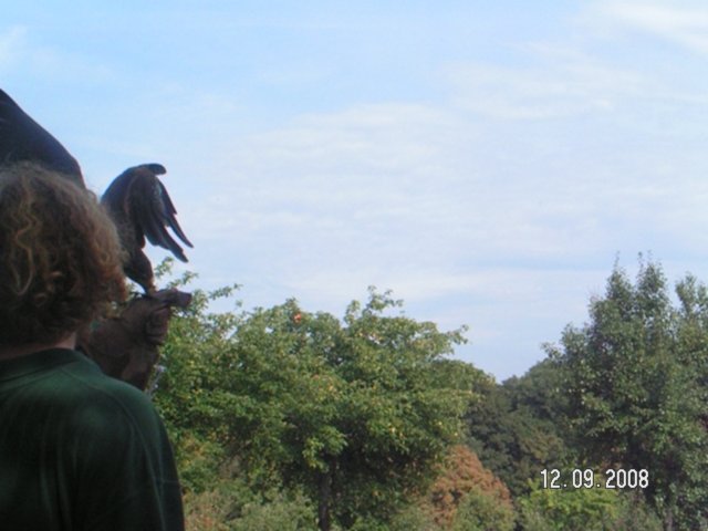 pict4578.jpg