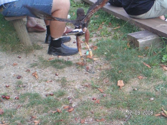 pict4579.jpg