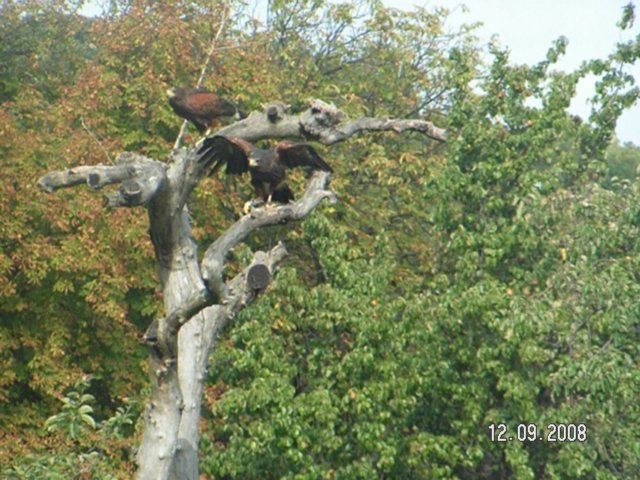 pict4584.jpg
