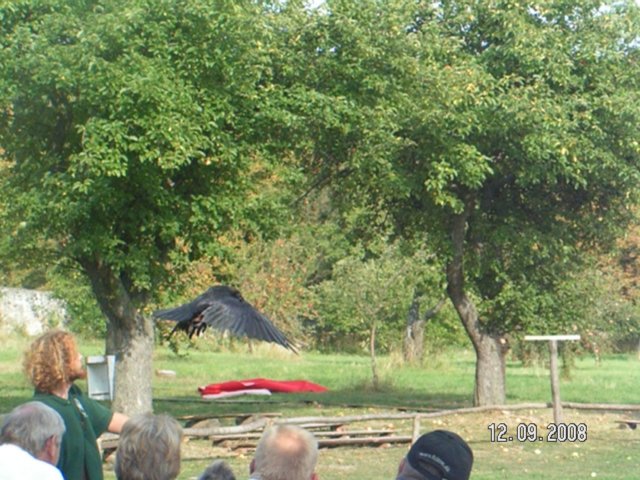 pict4589.jpg