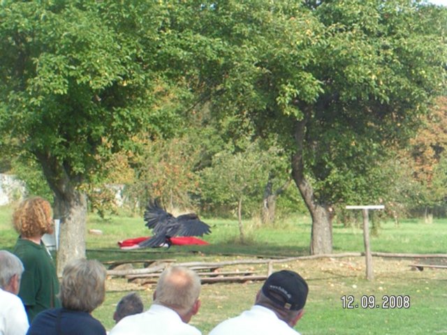 pict4591.jpg