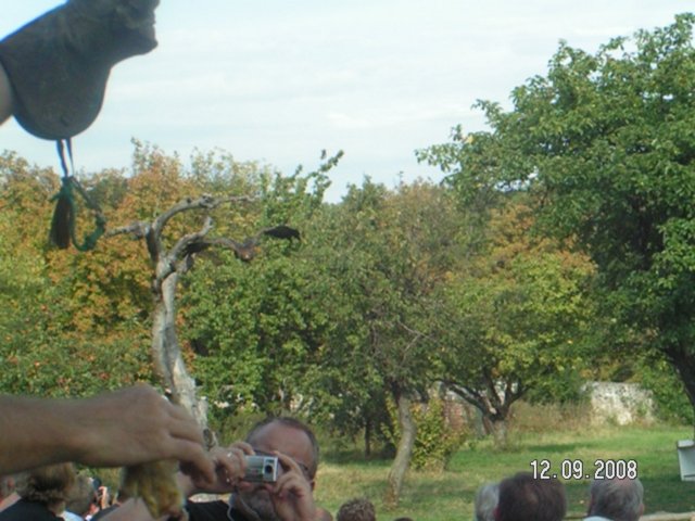 pict4614.jpg