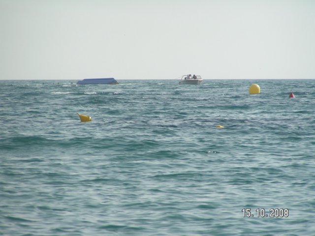 pict5436.jpg