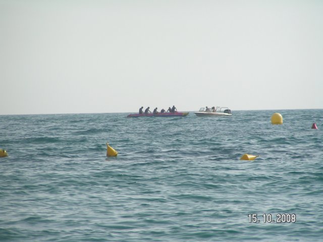 pict5441.jpg