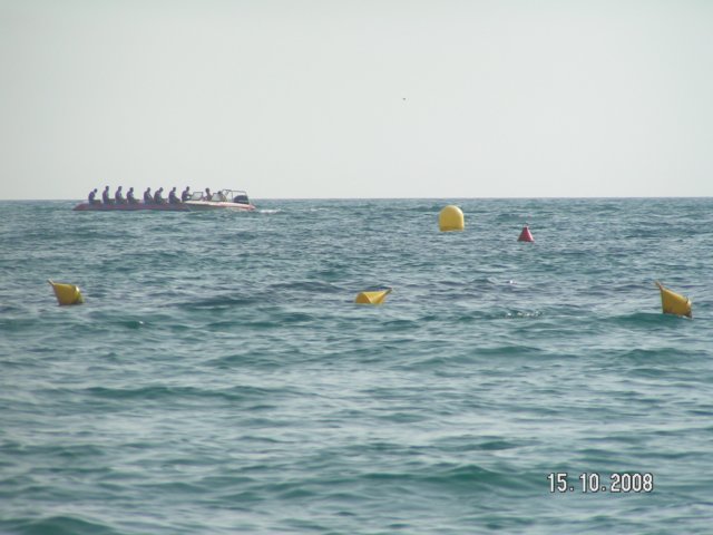 pict5446.jpg