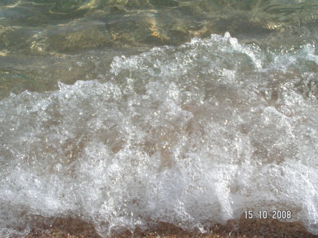 pict5449.jpg