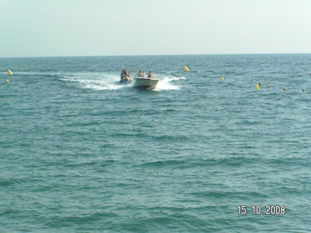 pict5479.jpg