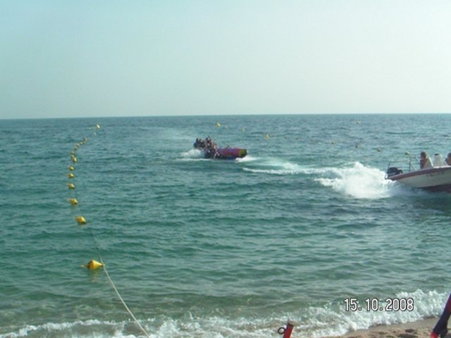 pict5485.jpg