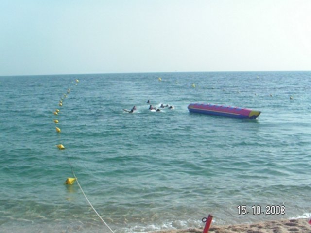 pict5491.jpg
