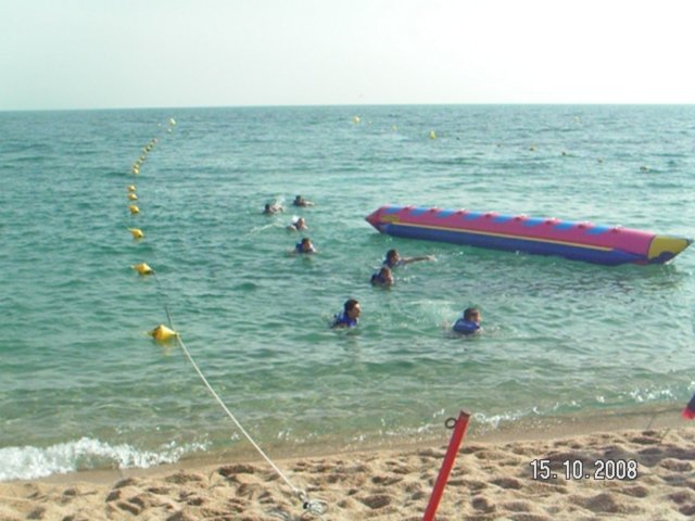 pict5503.jpg